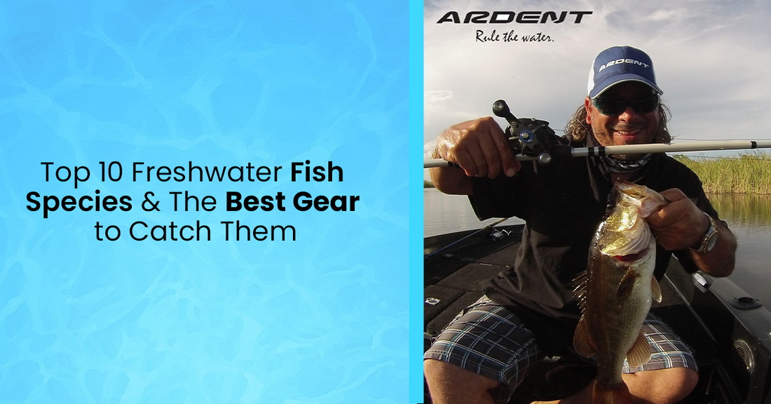 Top 10 Freshwater Fish Species & The Best Gear to Catch Them