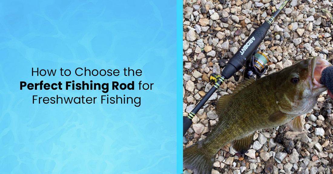 How to Choose the Perfect Fishing Rod for Freshwater Fishing