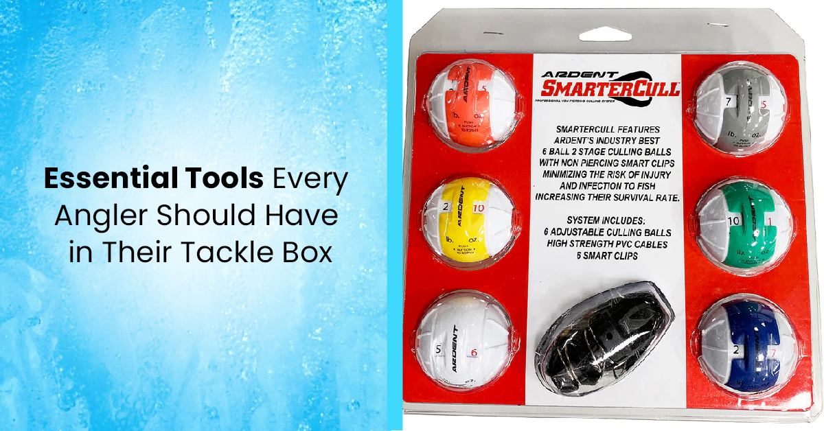 Essential Tools Every Angler Should Have in Their Tackle Box  Ardent Tackle