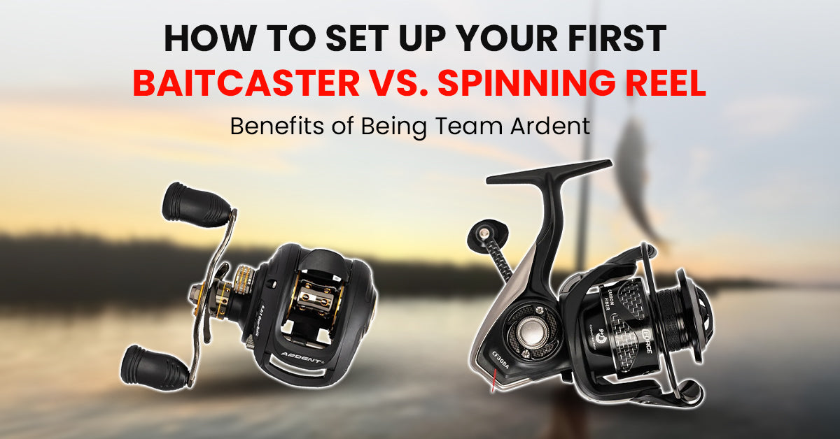 Baitcaster vs Spinning Reel: Setup Guide & Pros Cons  Ardent Tackle