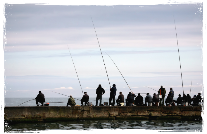 a group of people fishing on a pier