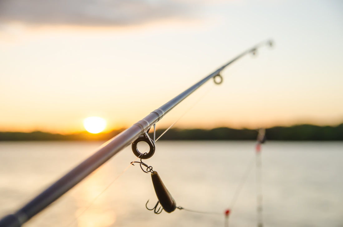 fishing rod on the lake
