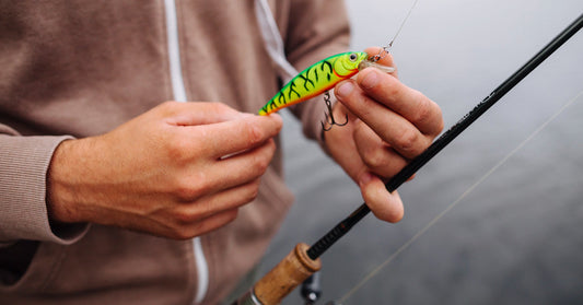 How to Choose the Perfect Fishing Rod for Freshwater Fishing