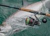 Open Face Reels Explained: Benefits, Features & How They Compare to Modern Spinning Reels