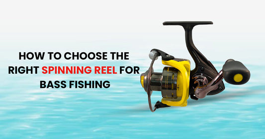 How to Choose the Right Spinning Reel for Bass Fishing