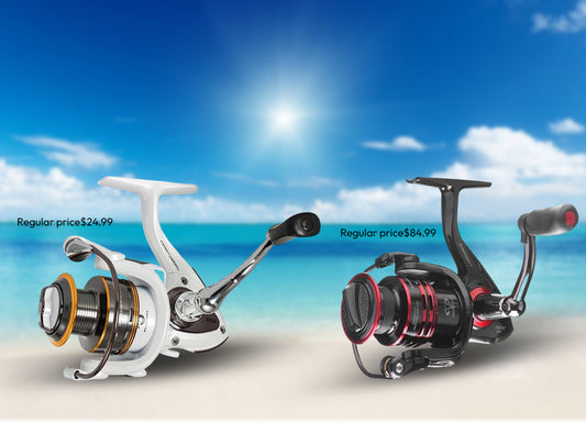 Best Fishing Reels Under $100 (2026 Budget Picks That Deliver Real Performance)