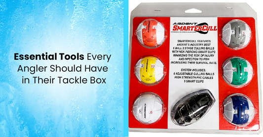 Essential Tools Every Angler Should Have in Their Tackle Box