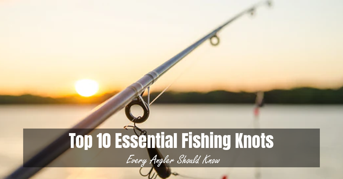 Top 10 Essential Fishing Knots Every Angler Should Know