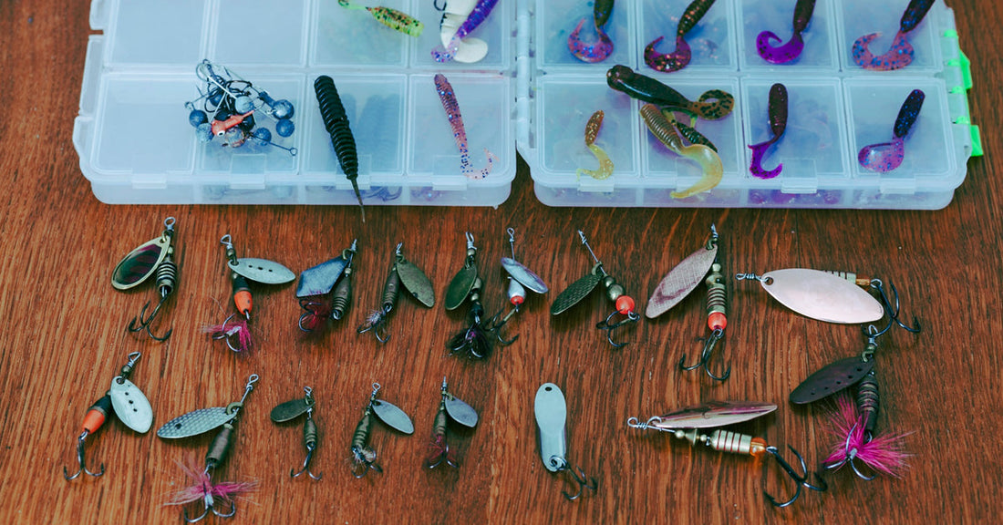 Freshwater Fish Species: The Best Gear to Catch Them