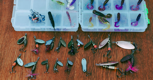 Freshwater Fish Species: The Best Gear to Catch Them